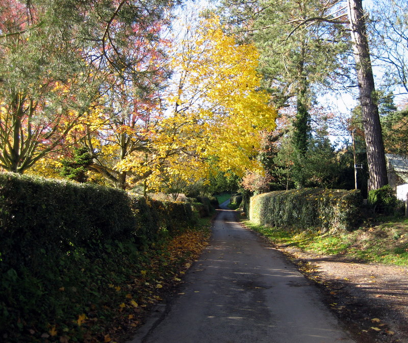 Ridgebourne Road