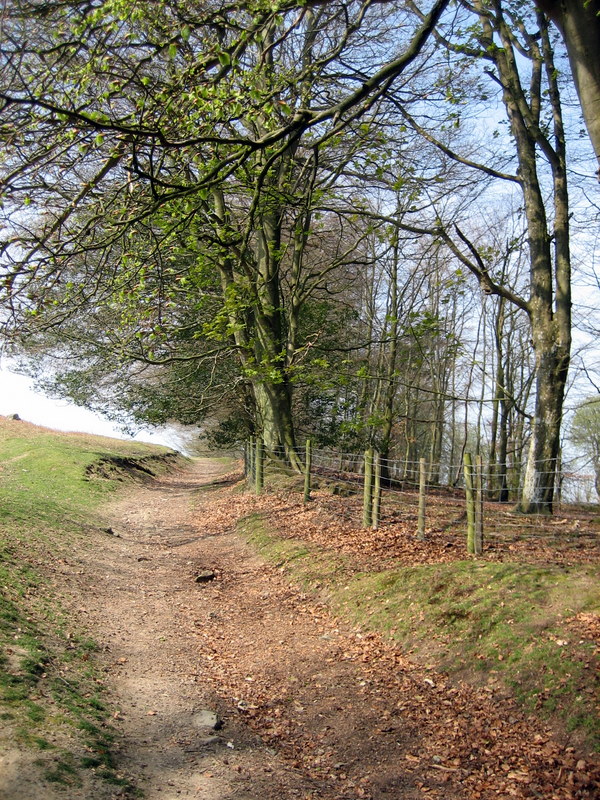 Path leading from Ridgebourne Road