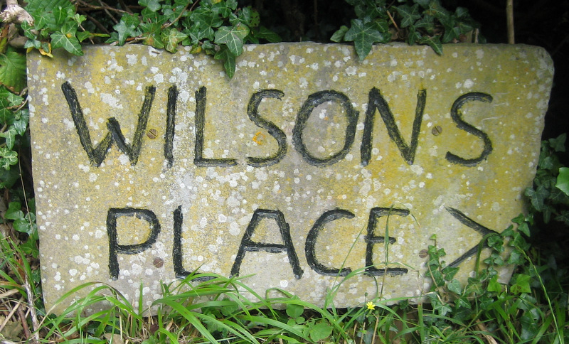 Wilson's Place